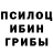 Псилоцибиновые грибы MAGIC MUSHROOMS Odysseus Vrakas