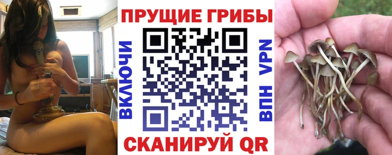 Псилоцибиновые грибы прущие грибы  Нурлат 